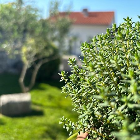 Va Kastav Appartement Buitenkant foto