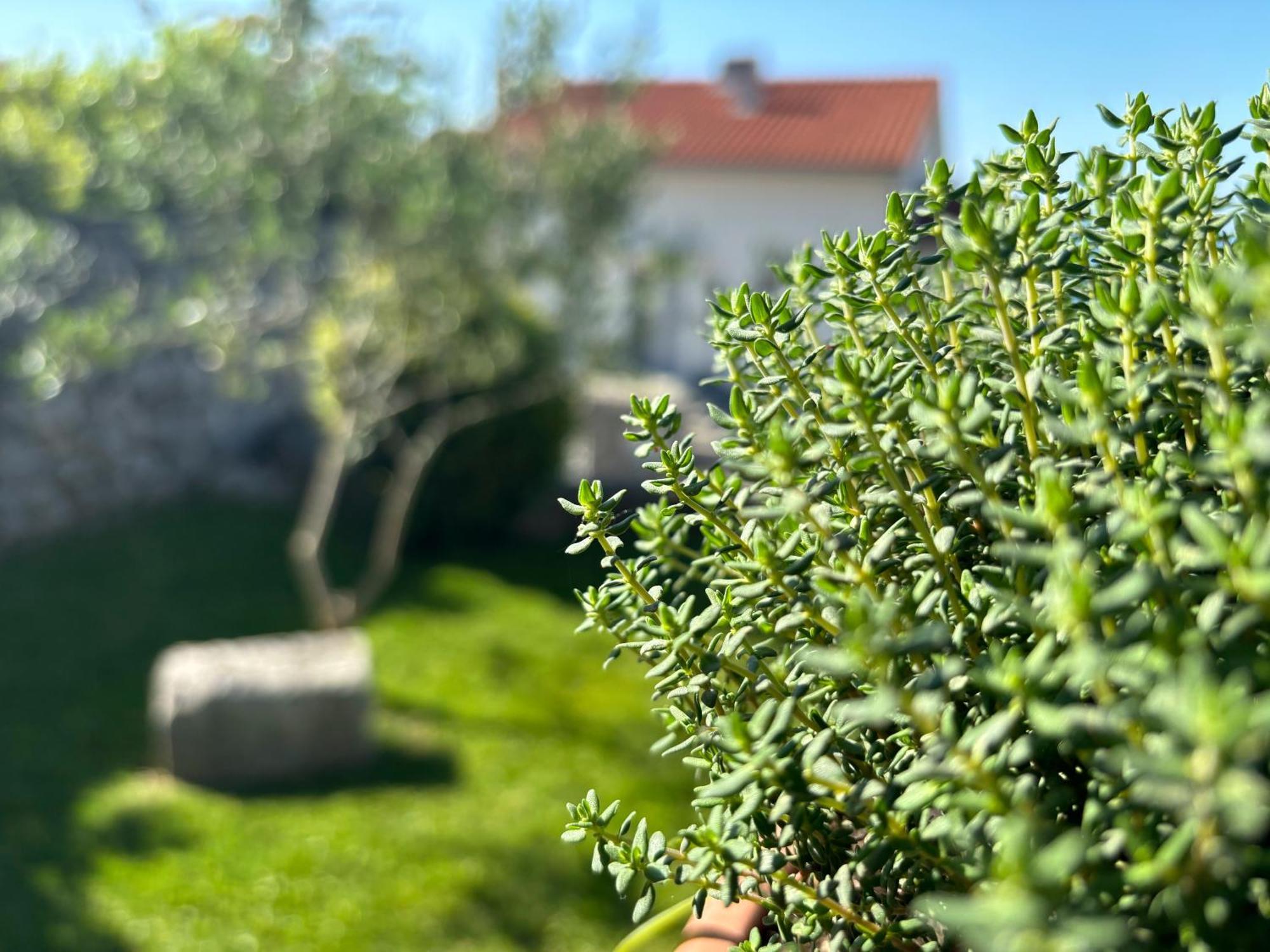 Va Kastav Appartement Buitenkant foto