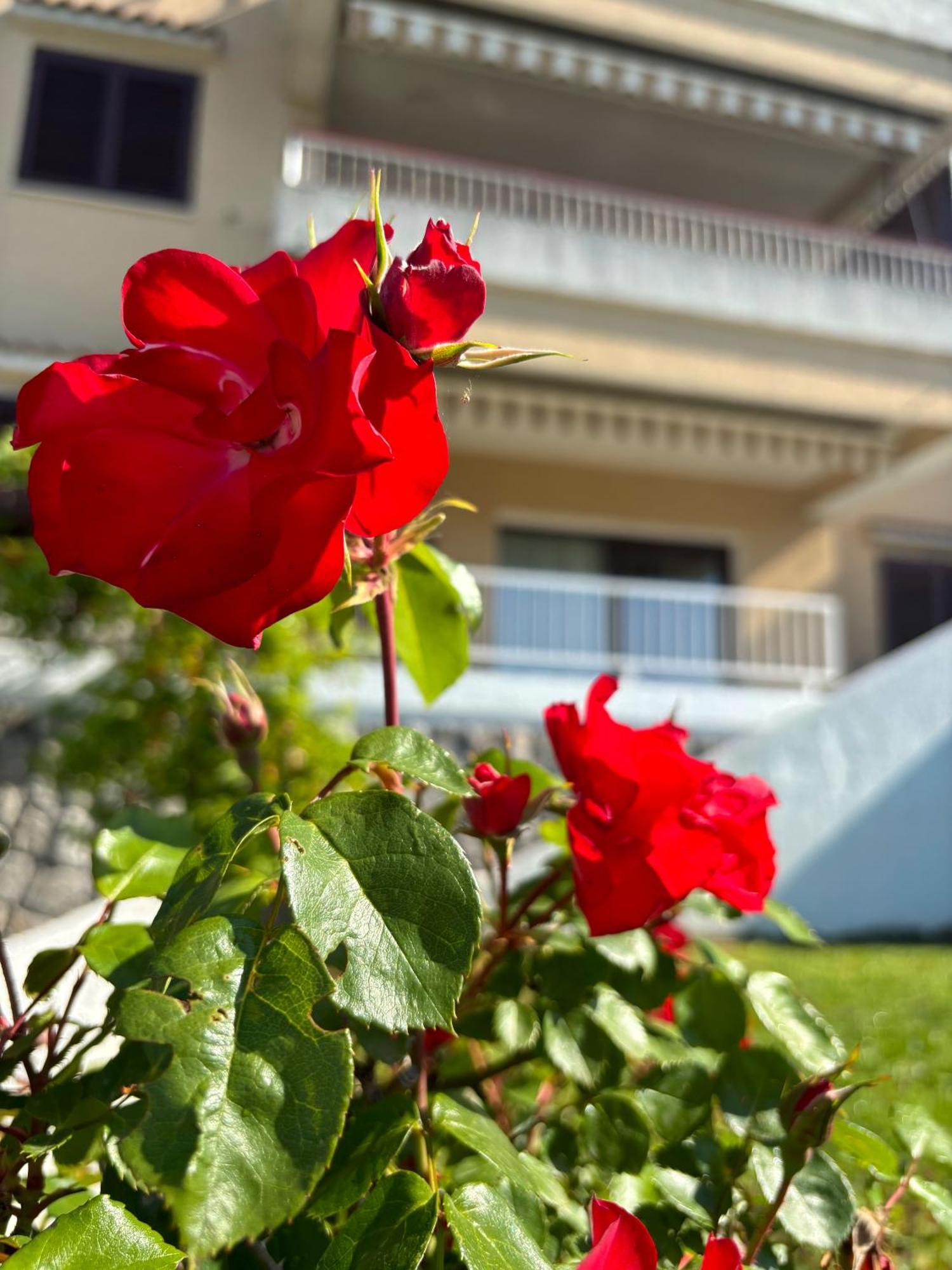 Va Kastav Appartement Buitenkant foto