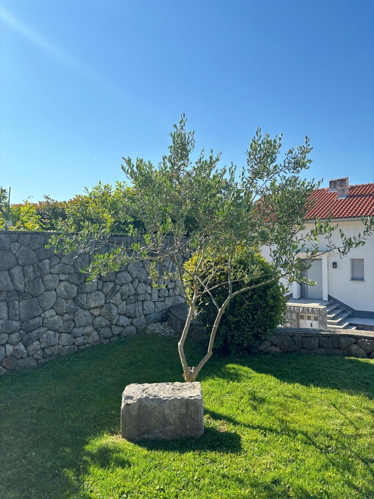 Va Kastav Appartement Buitenkant foto