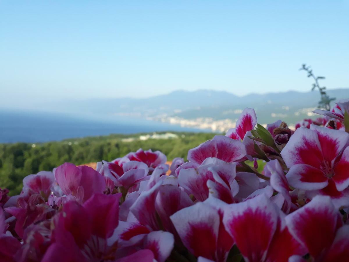 Va Kastav Appartement Buitenkant foto